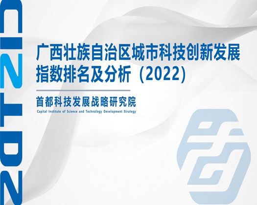 黄片强奸乱伦免费视频【成果发布】广西壮族自治区城市科技创新发展指数排名及分析（2022）